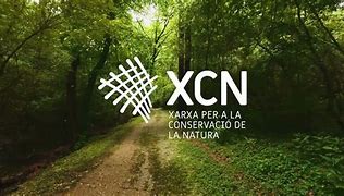 Sí, fa molt que s'alerta, però perquè aquesta DANA ara? Demà  a <a href="/Vida_Verda/">Vida Verda</a> <a href="/radio4_rne/">radio4_rne</a>  14h escolta Annelies Broekmann <a href="/CREAF_ecologia/">CREAF</a> Berta Caballero <a href="/museuciencies/">MCNB</a> Anna Surroca <a href="/XCNatura/">XCN</a>  Jaume Grau <a href="/ecologistes/">Ecologistes en Acció de Catalunya</a> <a href="/Rog_sole/">Roger Solé Guinart</a> <a href="/irenecerverab/">irene cervera buisán</a> 📻Ràdio 4 - Web oficial - RTVE Catalunya