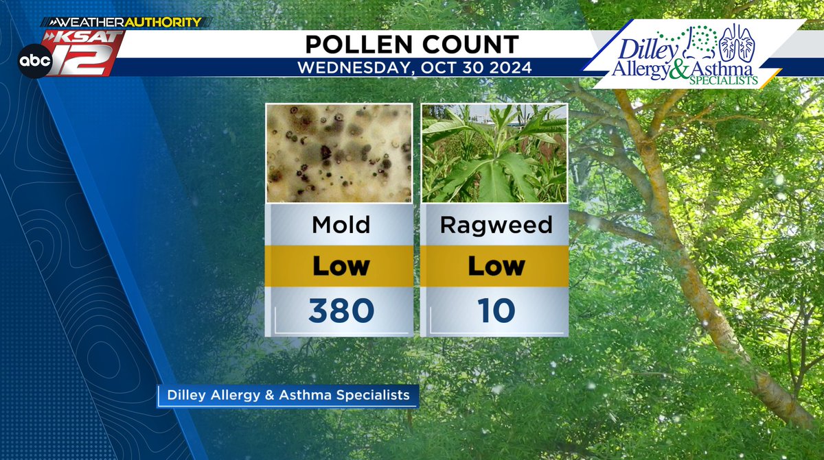 KSATMia's tweet photo. 🤧 Wednesday, 10/30 Pollen Count 🤧

Just molds and ragweed present today, and they're both low. https://t.co/3MZCnsoJ9R