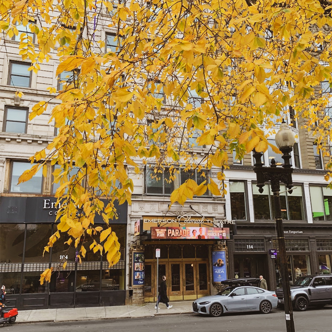 We may be biased, but we really do love autumn at the Colonial! 🍂 🍁