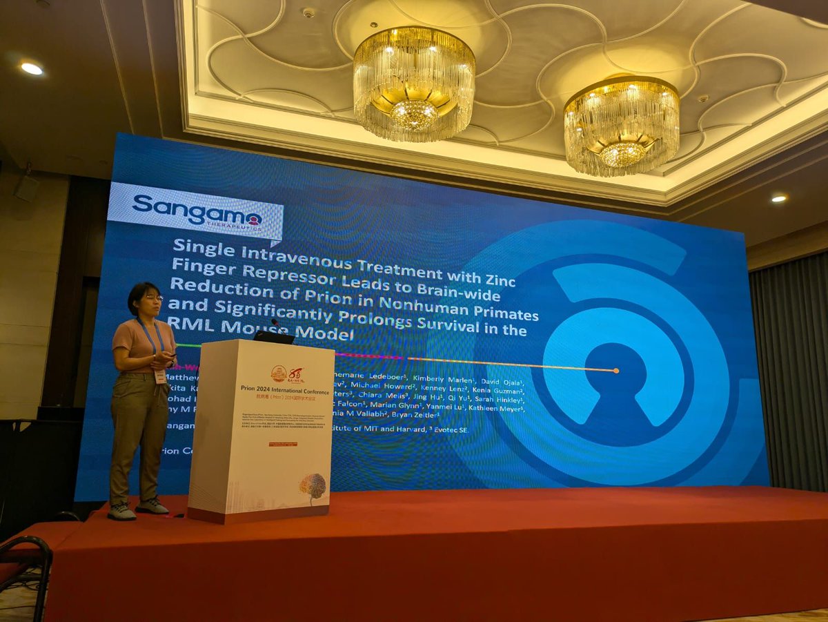 SangamoTx's tweet image. ICYMI: Last week at #Prion2024 Victoria Chou presented compelling data on Sangamo’s ZFR demonstrating reduction of the prion protein in animal models. To view the presentation, bit.ly/4hBNtyW