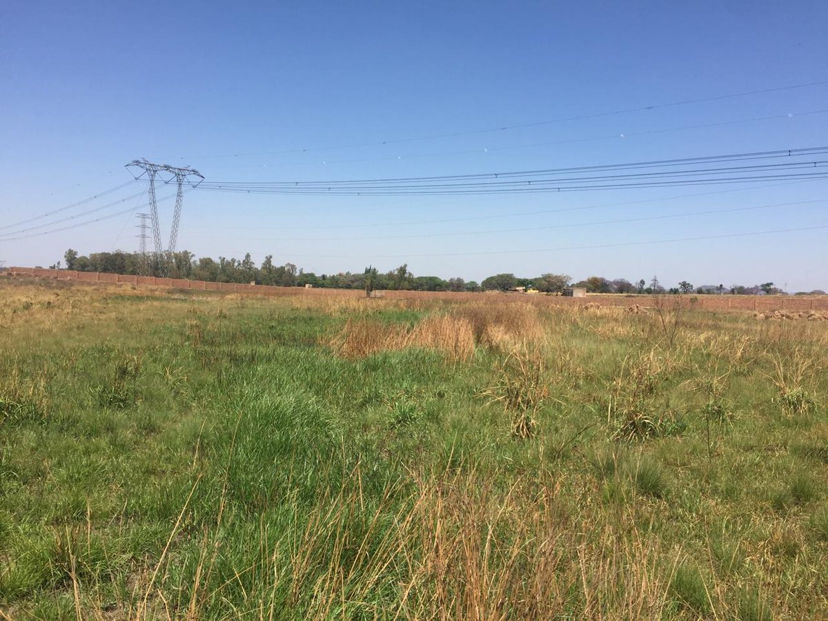 Property_PTA's tweet image. Farm for sale at Onderstepoort rooival
12 Hectors with 3 bed 2bath
 bougole walled 
selling price
 2.6 million