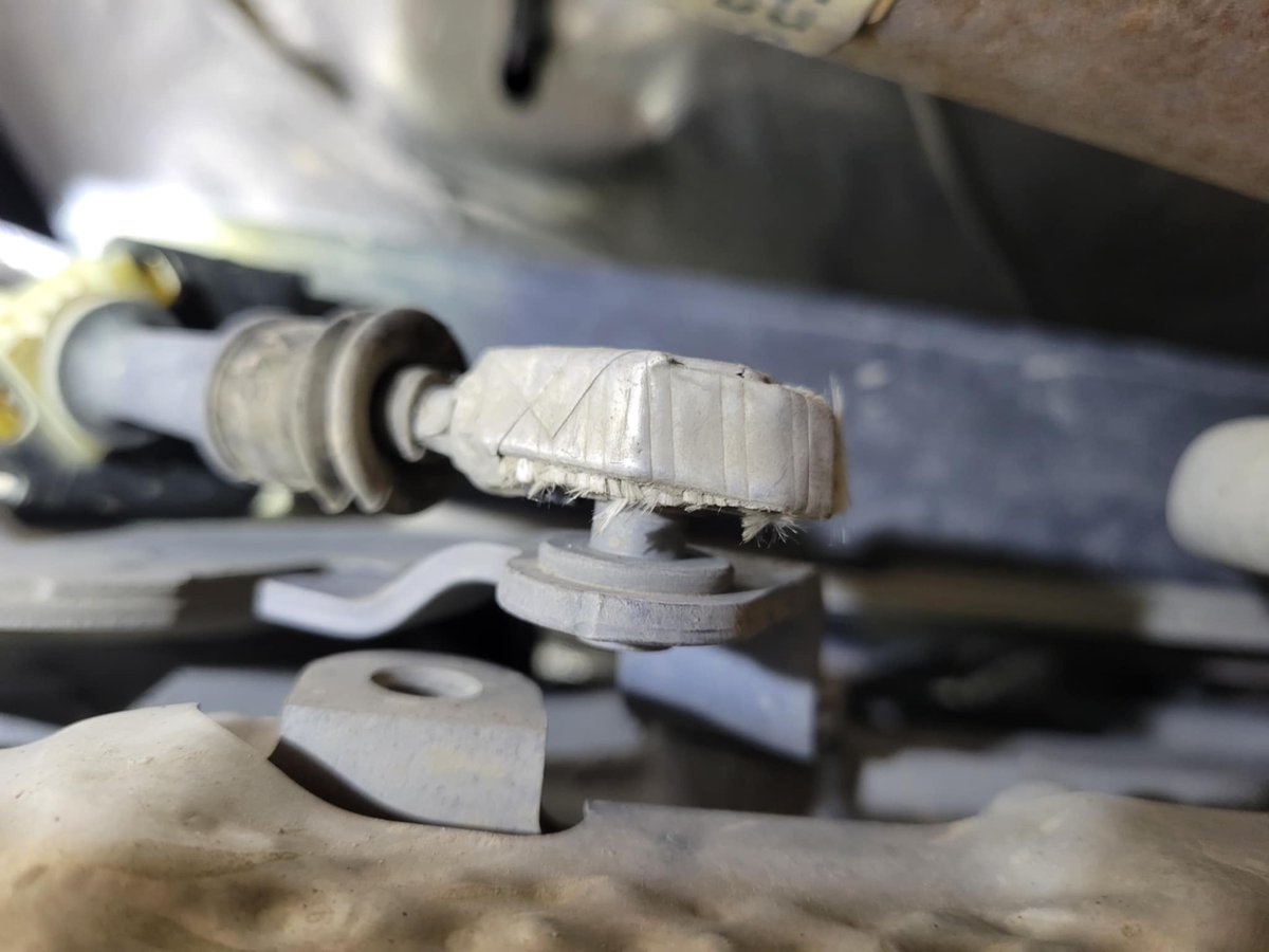 RebelNDN tweet media