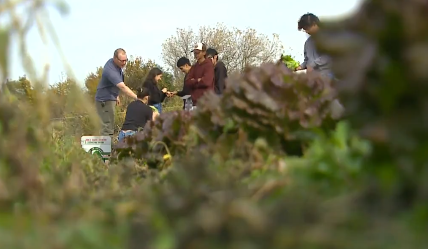 What a great story on the partnership between <a href="/Grayslake127/">Grayslake 127</a> and <a href="/LibertyPrairie_/">Liberty Prairie</a> ! Congratulations Jeff and Jen Miller <a href="/schuyler_gina/">Gina Schuyler</a> <a href="/TraceyKLandry/">Tracey Landry</a> <a href="/jschagrin/">Jeff Schagrin</a> <a href="/DanLandryGL/">Dan Landry</a> <a href="/Roscoe2James/">James Roscoe</a> <a href="/Julie_Bryniczka/">Julie Bryniczka</a> #D127GetsReal

wgntv.com/video/suburban…