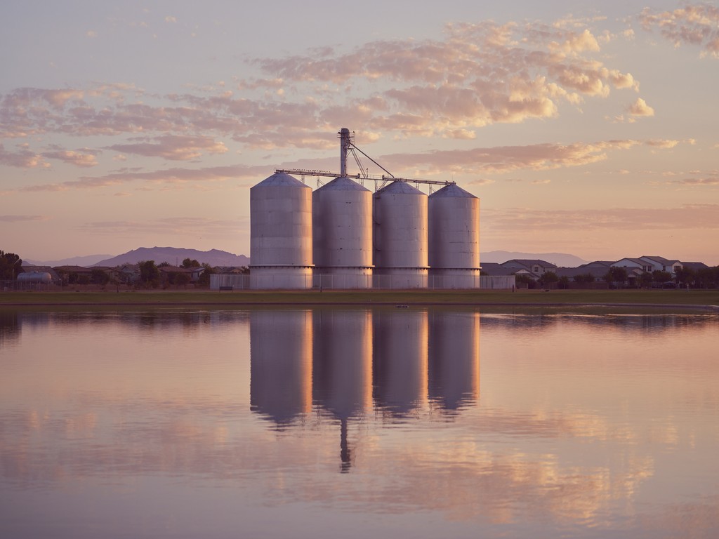 Jesse Rieser tweet media