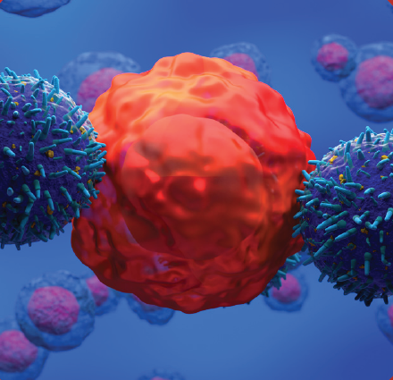 Standard_BioT's tweet photo. When exhaustion sets in, pushing through to finish the job can be tough. This couldn’t be more true than for T cells working to destroy a tumor…
Let’s take a deeper look into T cell exhaustion as it applies to cancer: https://t.co/HrQLNhh7AX
#immunotherapies #scienceblog https://t.co/JaHWkTQ1k0