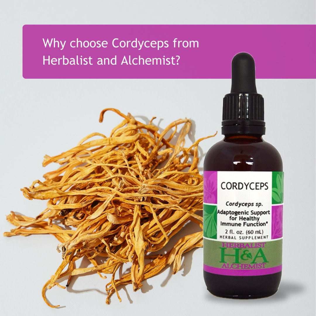 herbalchemist's tweet photo. At H&amp;A, our Cordyceps is third-party tested.  Identity is confirmed via HPTLC &amp; the extract is tested for pathogens, heavy metals &amp; aflatoxins. Additionally, our Cordyceps is cultivated on certified organic brown rice instead of the ghost moth 🍄 Visit https://t.co/tiBP1CR12W https://t.co/x6y7rN37JF