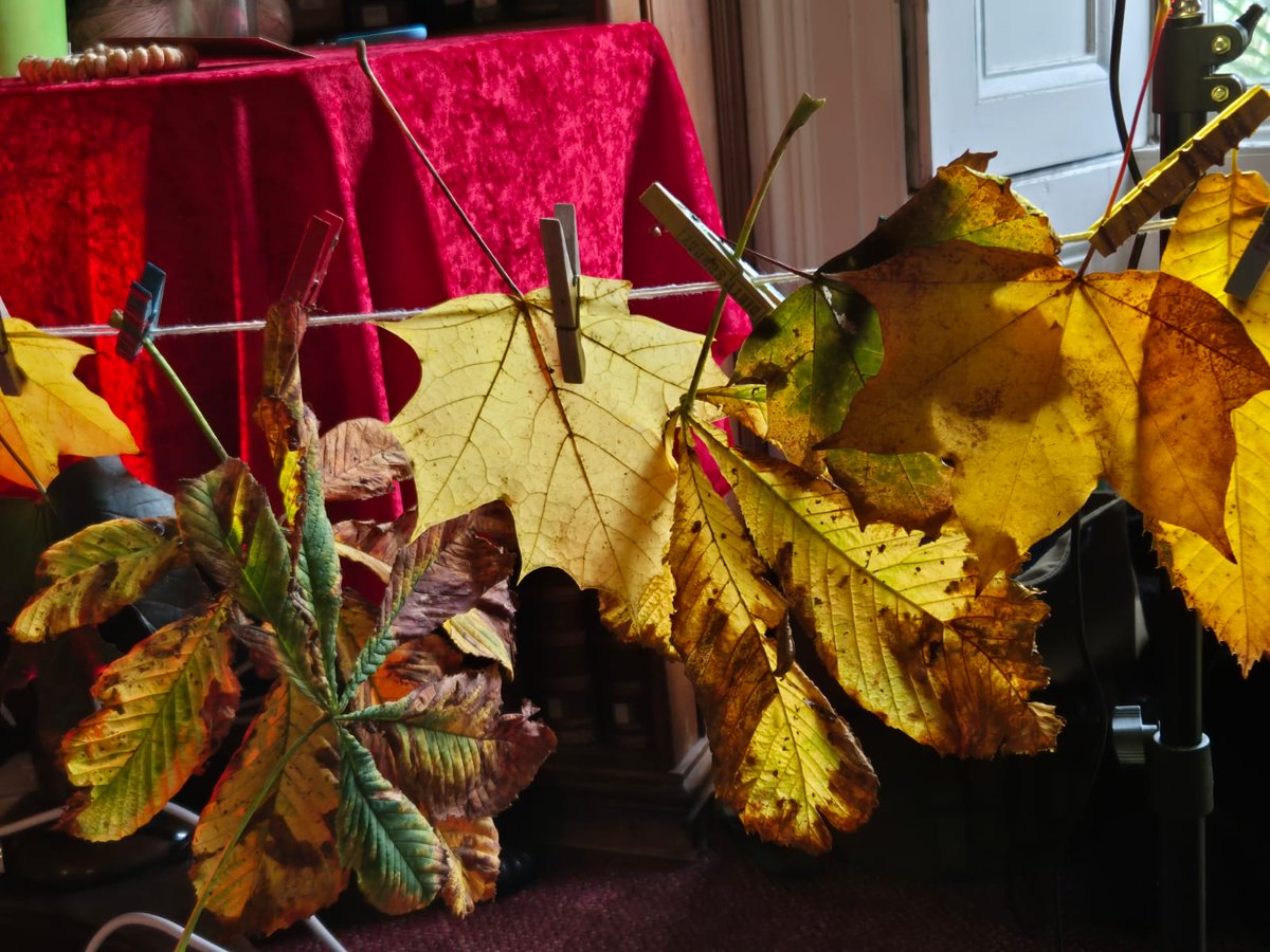 We've had another fun morning with Jak at our Autumn Super Storytime event - learning about trees, hanging out leaves, making bird feeders, and drawing Autumn scenes!
#SchoolHolidays #HalfTerm #AutumnFun #ChildrensEvents #AutumnInTheLibrary #Autumn #LoveYourLibrary #FeedTheBirds