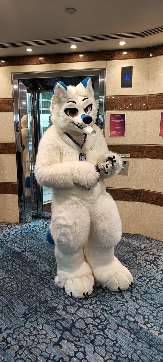 ThonyGrpl's tweet photo. ... et plein de photos de fursuiters.
#FBL12 #furry #fursuiter https://t.co/Xk7nWC5CA7
