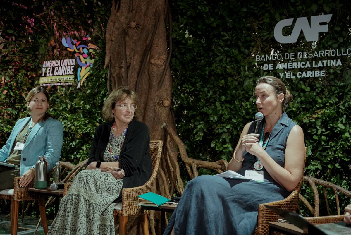 International Development Finance Club tweet media