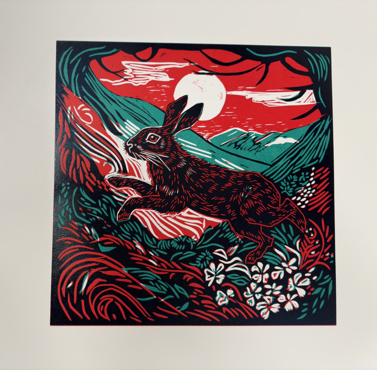 Jane Goodall tweet media