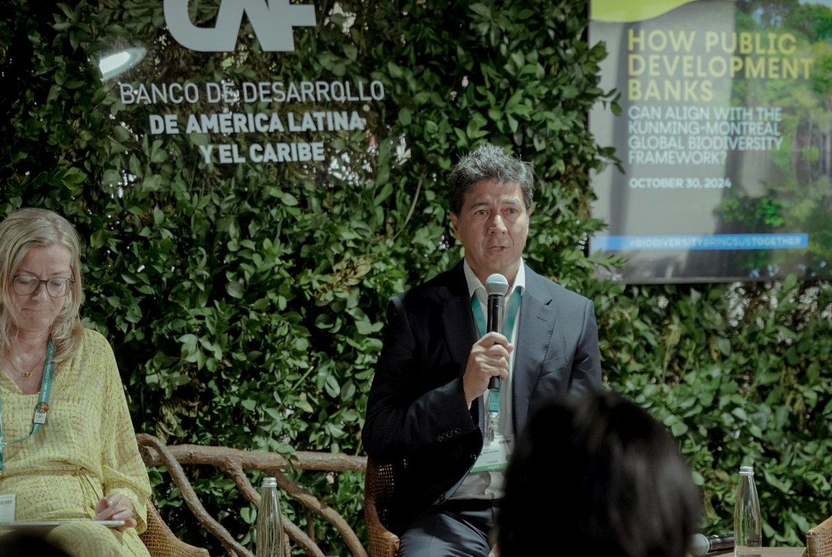 International Development Finance Club tweet media