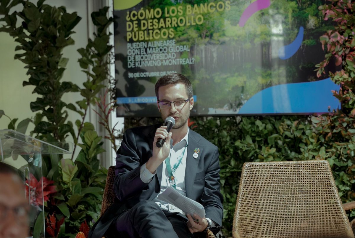 International Development Finance Club tweet media