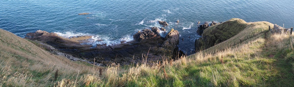 The Siccar Point unconformity this morning, such a peaceful place to contemplate deep time. The textbook view usually only shows a small part of the rocky platform, a varying unconformity surface reflecting erosion of the underlying rock before deposition of the upper layers.
