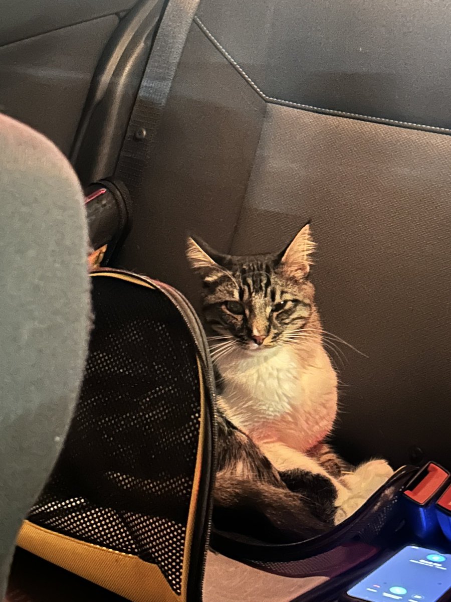 Zorla köye götürülüyorum