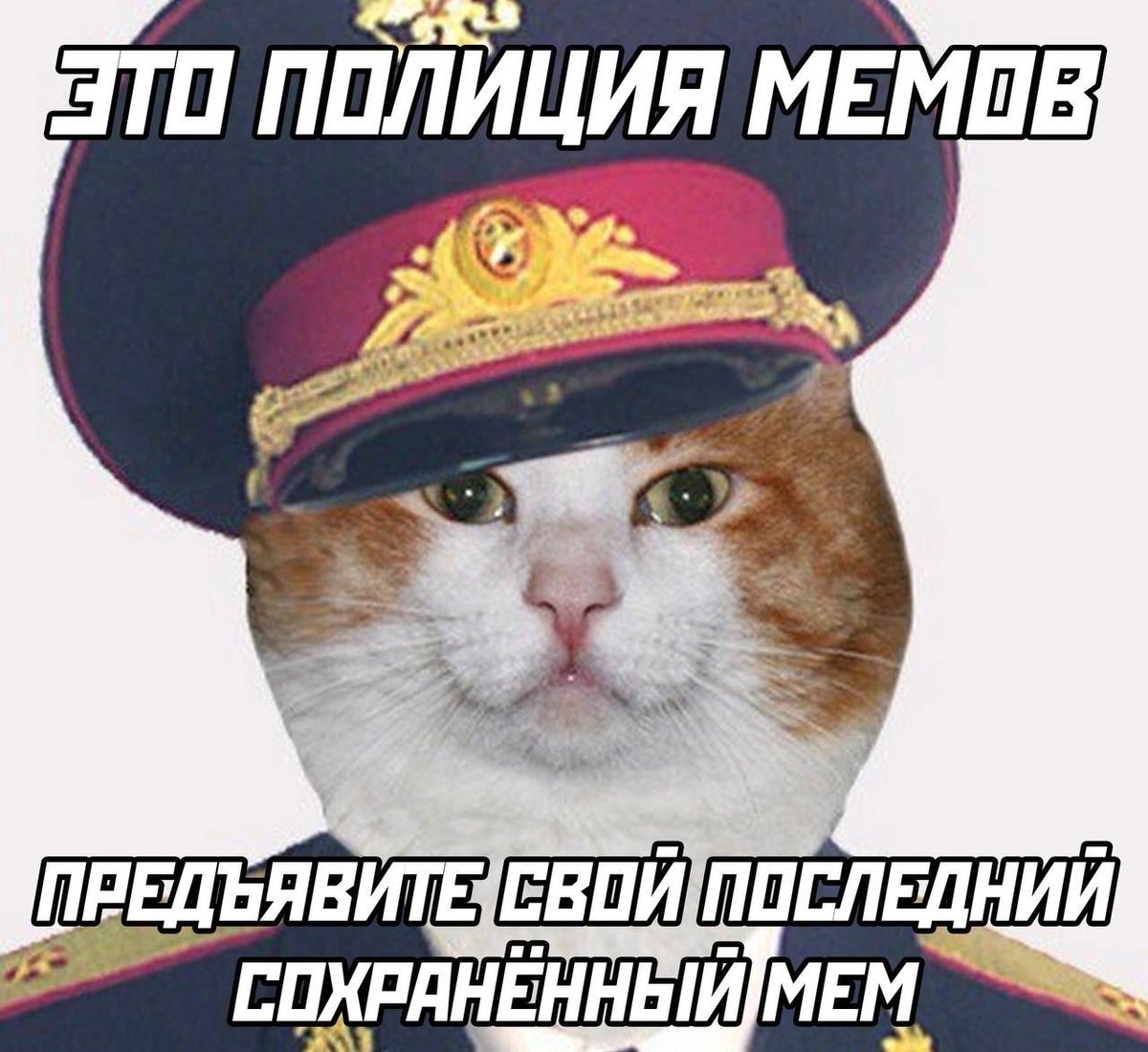 Сергей tweet media