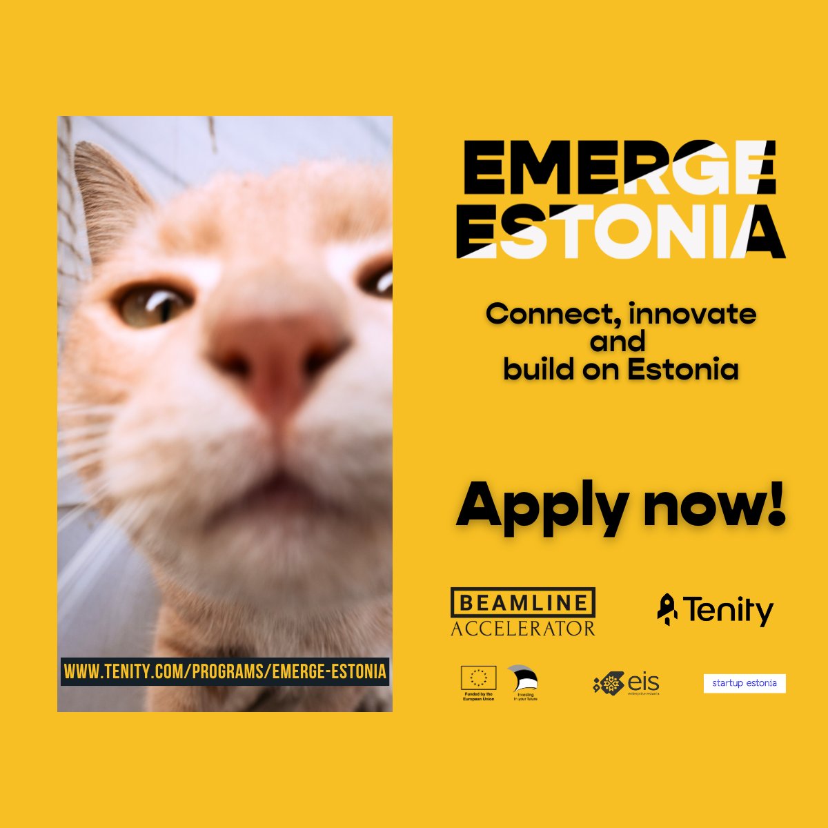 🚀 Exciting News! Our partners at EIS, Tenity, and Beamline are launching the #EmergeEstonia program to integrate foreign founders into Estonia's vibrant startup ecosystem. You can expect 1-1 coaching, access to decision-makers...🌍✨

More information👉 tenity.com/programs/emerg…