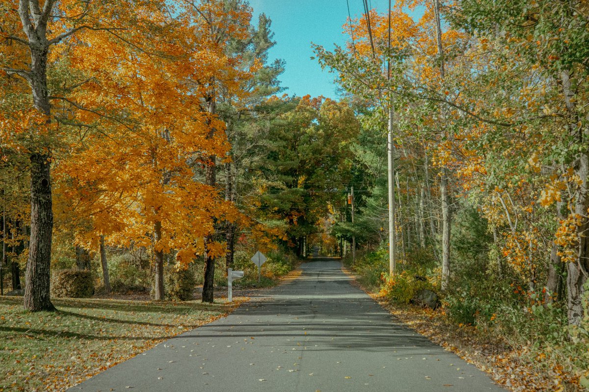 bryanpjackson's tweet photo. Fall in Massachusetts https://t.co/S2Tc7fny2V