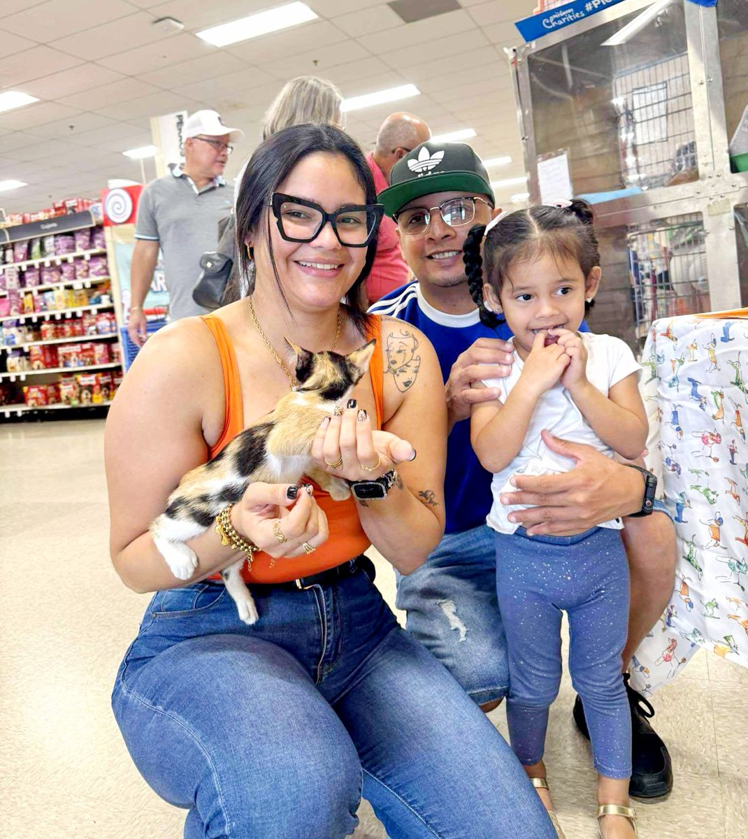 MILAGRITO DE ADOPCIÓN

París se mudó pa' Sabana Grande con Carlos y su familia, y ya es la co-princesa del hogar.

La beba comparte el trono con su hermosa hermanita humana, que se convertirá con su compañera indiscutible de juegos y travesuras.

¡Que seas muy feliz, París!