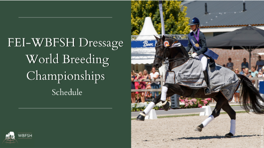 Dressage World Breeding Championships 2025 - What you need to know about the Selections - mailchi.mp/wbfsh/wbcyh-dr…