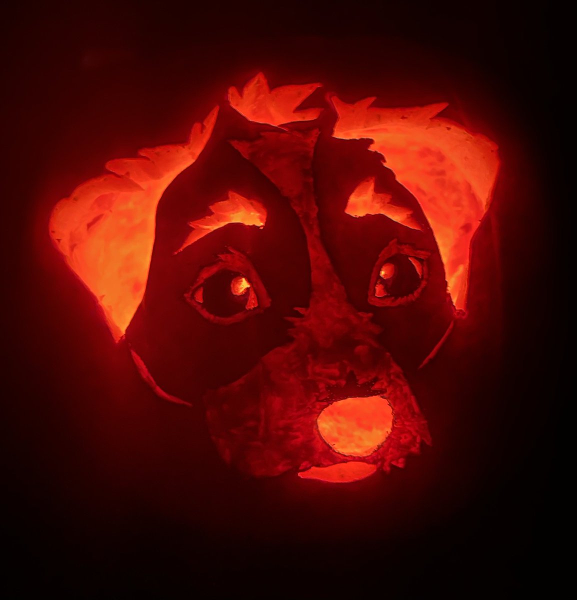 🎃🔪 #furry #pumpkincarving