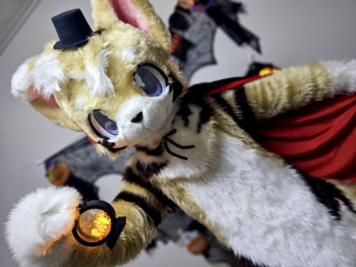 いぬのはし🐾 tweet media