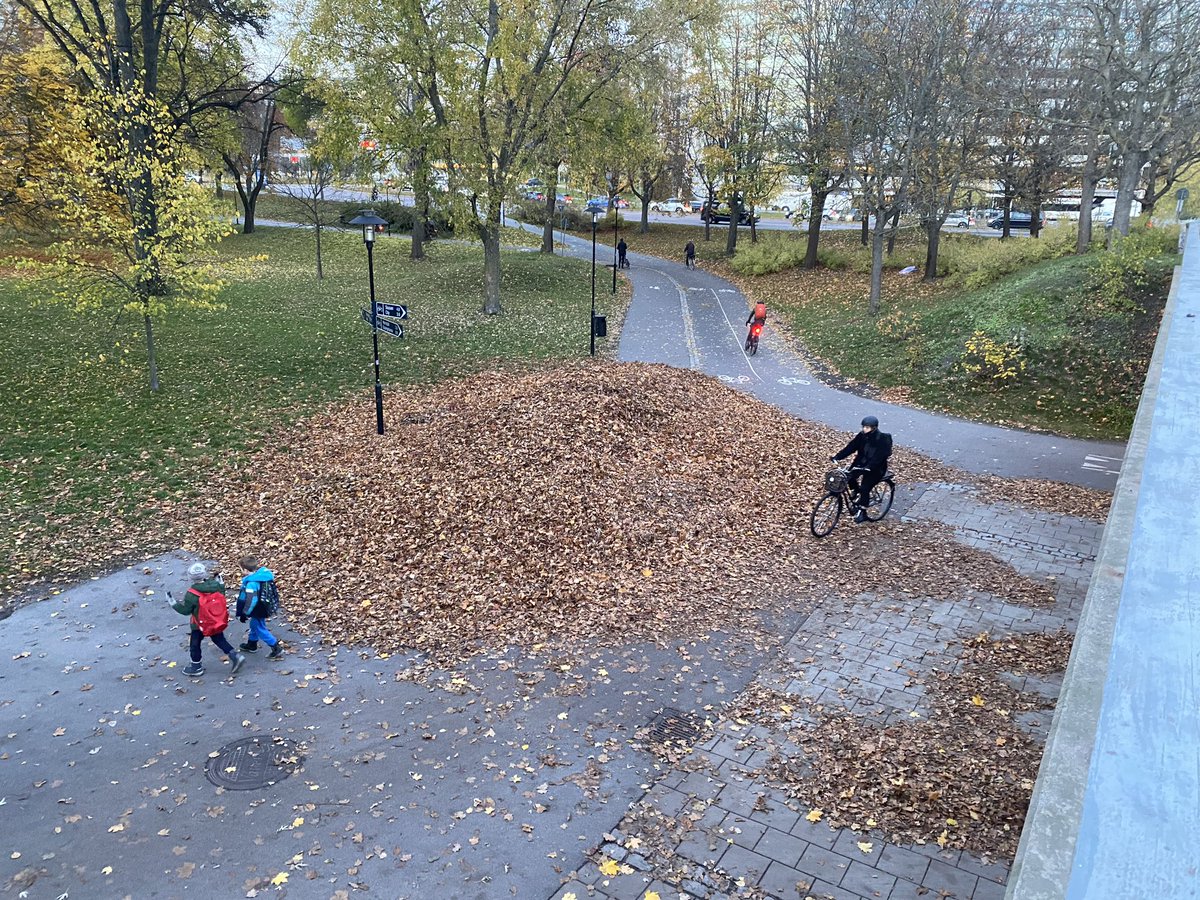 Lövupplag på gång- och cykelstråk i <a href="/Stockholmsstad/">Stockholms stad</a> trots uppmaningar i snart 10 år. cyklandeombud.se/underhall/huvu… Varför klarar inte förvaltningen att ställa krav i upphandling och avtalsuppföljning? <a href="/mpsthlm/">MP Stockholms stad</a> <a href="/larsstromgren/">Lars Strömgren</a>