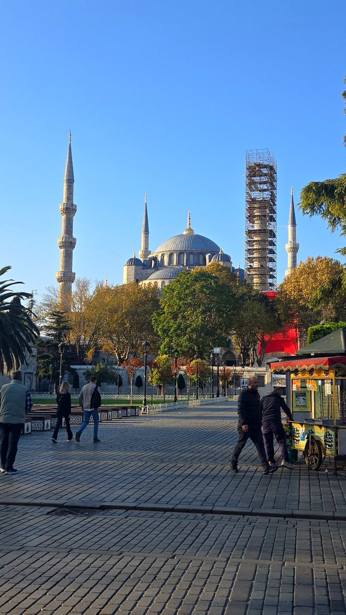 Coach Stolley tweet media