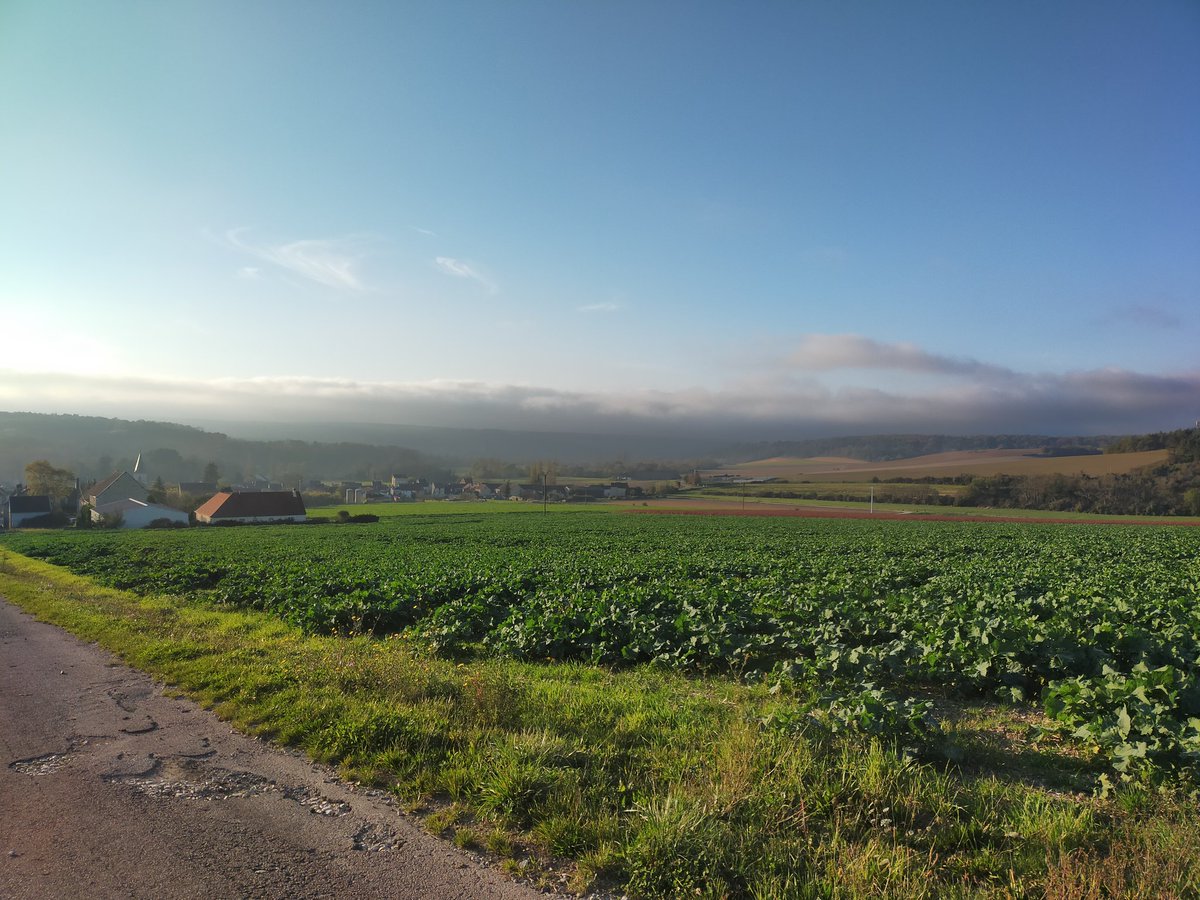 Du bon côté de la barrière