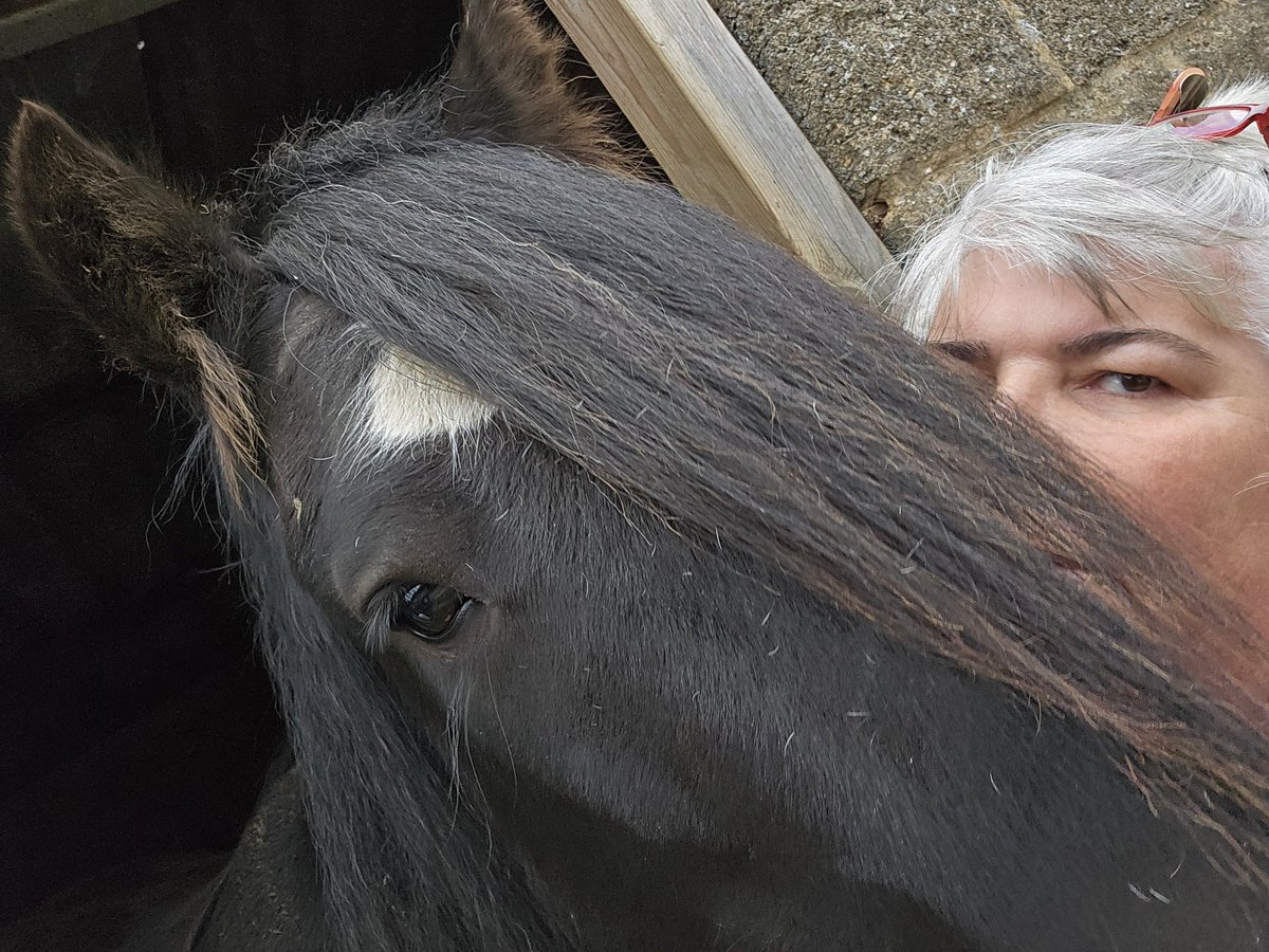 Bit of a pruning job for the ponies 😀 And Eric who always wants to be with you 😍