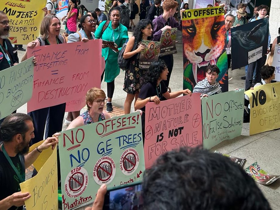Campaign to Stop GE Trees tweet media