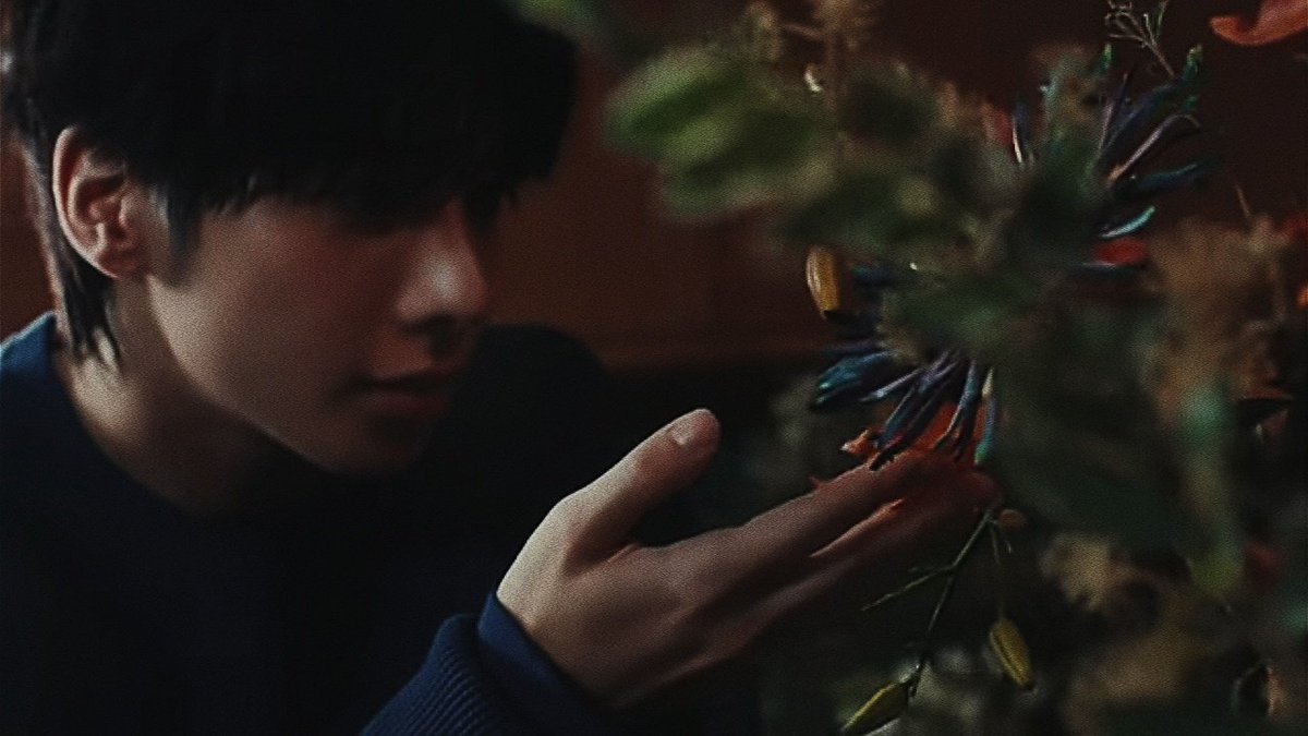 TXT EDITS tweet media