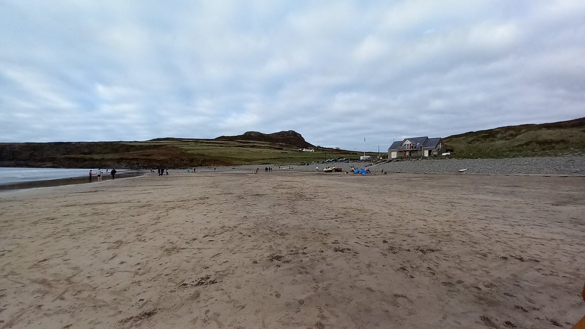 Phoenix_sandy's tweet photo. Whitesands beach had a small wreck of mauve stingers on tideline today; a sting not to be trifled with @PembsMarineLife https://t.co/kIVDwVBBc4