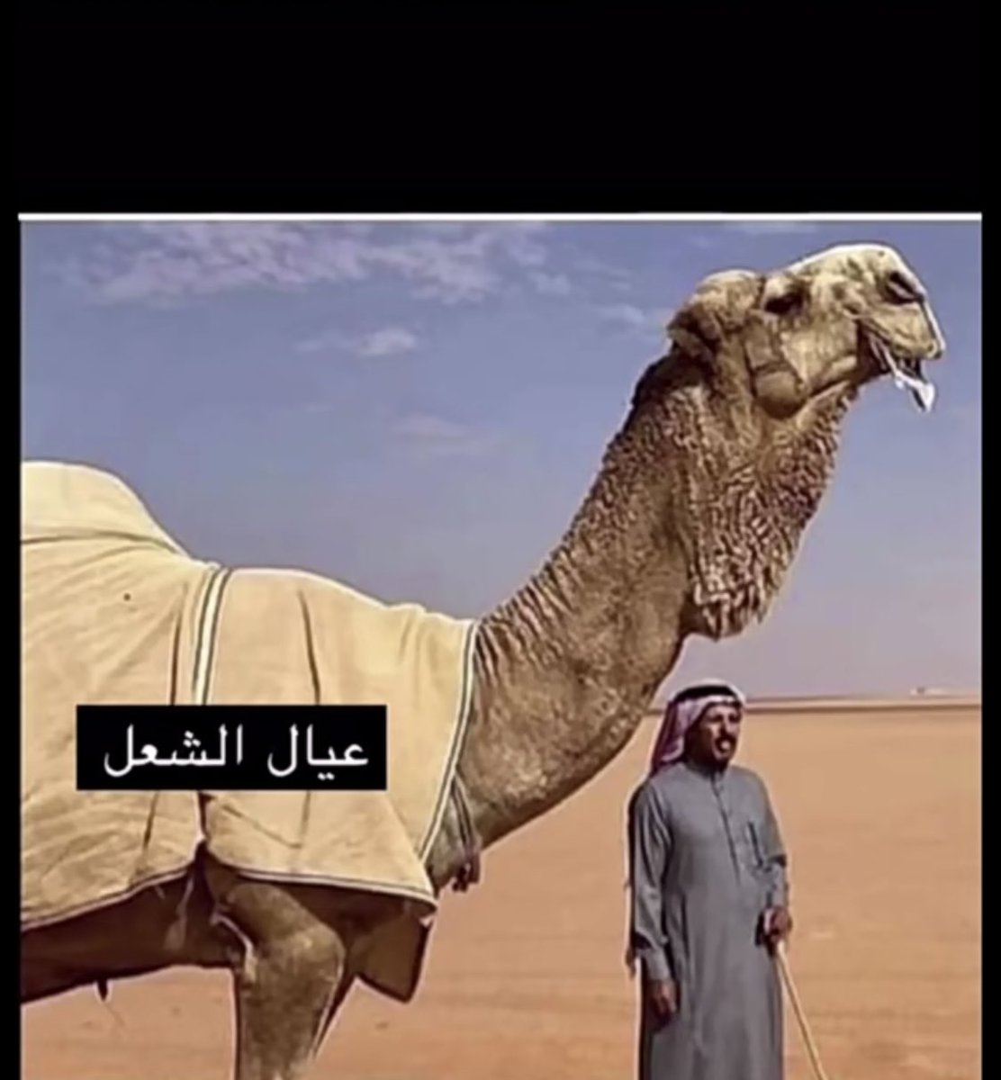 .

نصايح لله

.

ترى البعير اللي مهوب زين مايجيب زين صدقني اخي المتابع لو اصله اصفى من الماء
.
لا يلعبون عليكم هل البعارين ويصيخونكم 
.
مثال / عيّال 👇 ابوه ماخذ في نوفا رقم واحد كأجمل بعير اشعل وجاب عيال واخذن بناته الاول مرتين في التلاد وفي البعير ونتاجه مرتين 
.