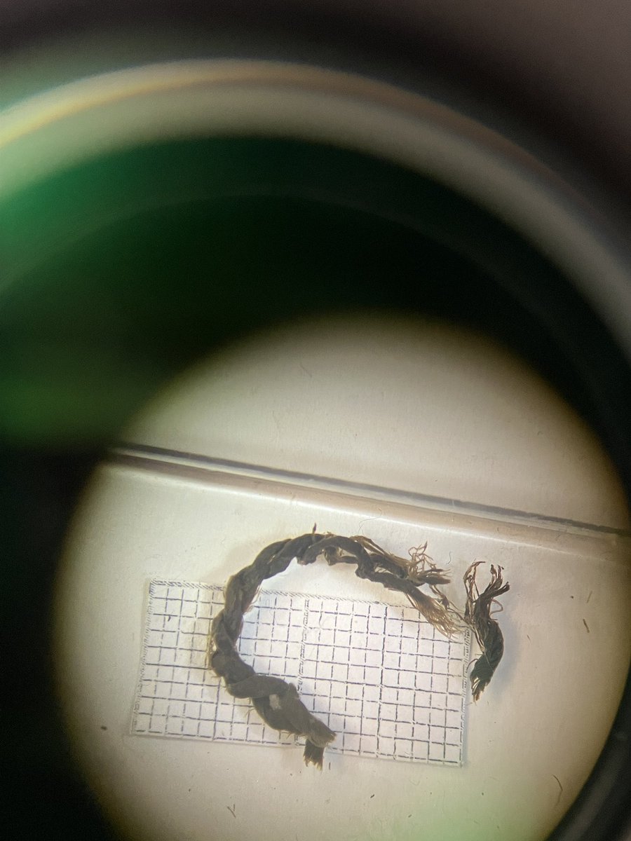 My job is generally pretty damn fantastic, but some days are even better than others. Yesterday was fabulous as I got to meet this beauty. Twine / yarn made of plant fibre by human hands more than 7000 years ago. #archaeobotany highlights 😍😭