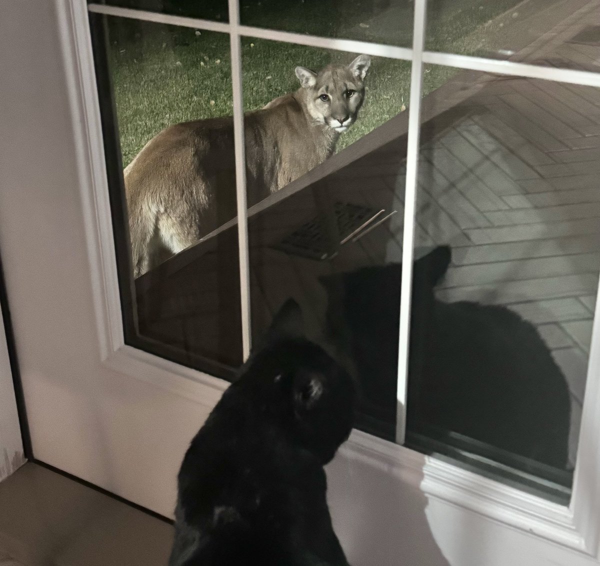 Laureen Teskey Harper tweet media