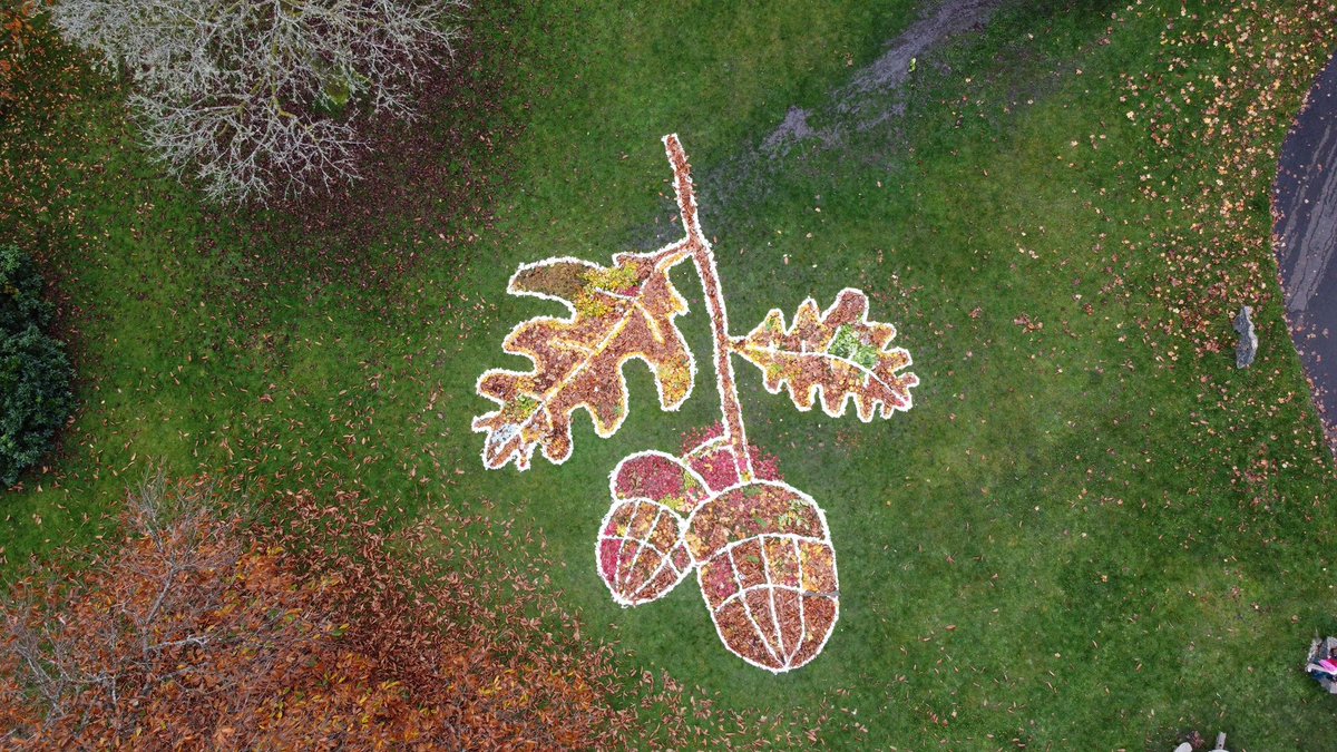 We would like to give a big thank you to everyone who helped BG Arts and Bedwellty House &amp; Park create this amazing, autumnal artwork yesterday.🎨

<a href="/BedwelltyHouse/">Bedwellty House&Park</a>  <a href="/Aneurinleisure/">Aneurin Leisure</a> <a href="/BlaenauGwentCBC/">Blaenau Gwent CBC</a> <a href="/CBSBlaenauGwent/">CBS Blaenau Gwent</a>