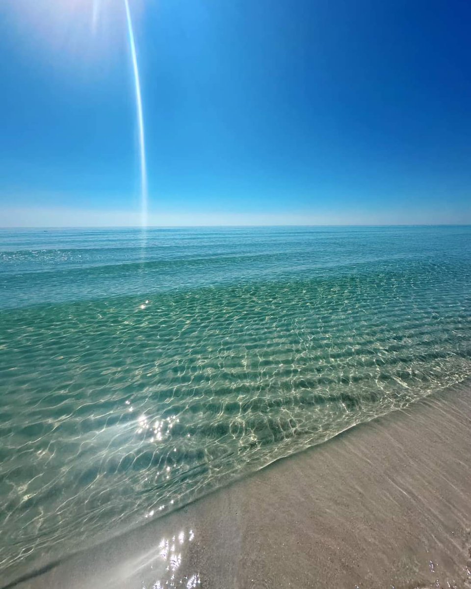 DvoranRandall's tweet photo. I love days like this, anyone one to join me for a swim https://t.co/rqBKj1zW2p