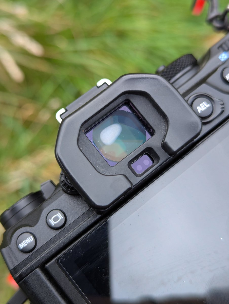 Viewfinder of this expensive OM System OM-1 Mk ii camera fogged up inside today. It was a bit of a surprise, cleared in 5 minutes thankfully