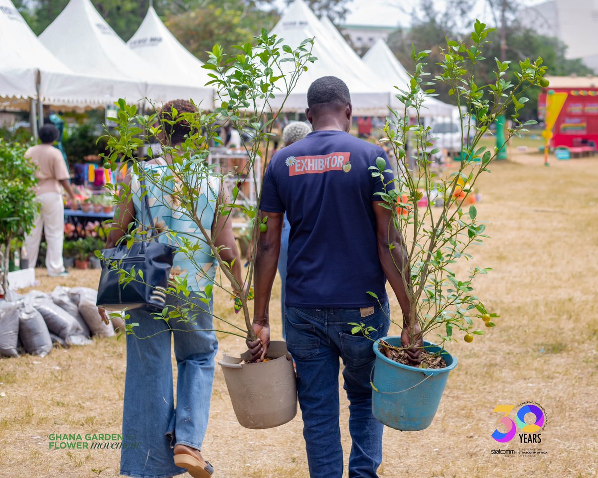 ggfmovement's tweet photo. Heya Plant Lovers and GGFM!! 

Checking in. How are your plants and flowers looking??

We hope you’re GREENOVATING 💚 #greenghana #ggfs24 #highlights #plantparenthood #plantphotography #plantpeople https://t.co/zEwB2ACIik