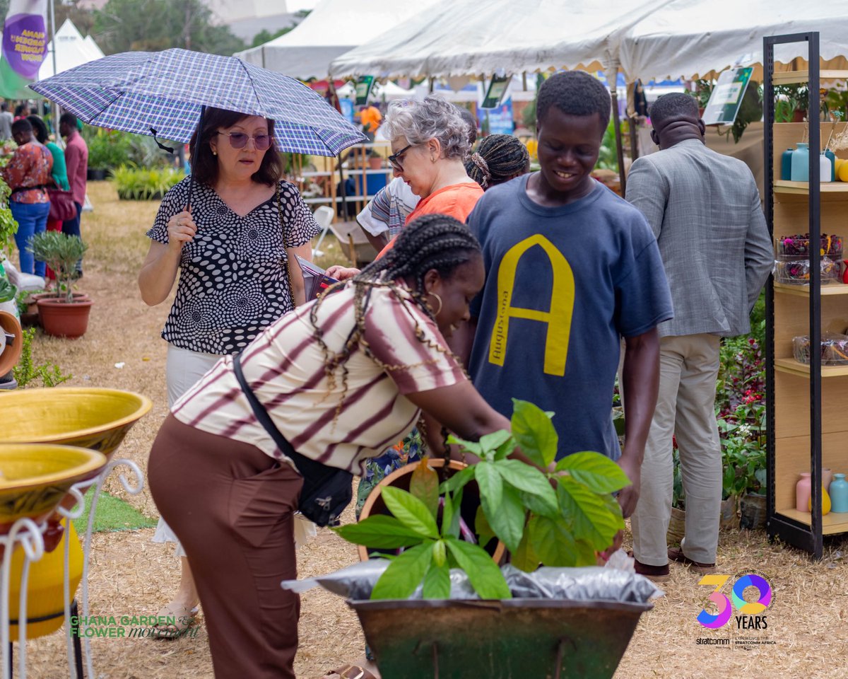 ggfmovement's tweet photo. Heya Plant Lovers and GGFM!! 

Checking in. How are your plants and flowers looking??

We hope you’re GREENOVATING 💚 #greenghana #ggfs24 #highlights #plantparenthood #plantphotography #plantpeople https://t.co/zEwB2ACIik