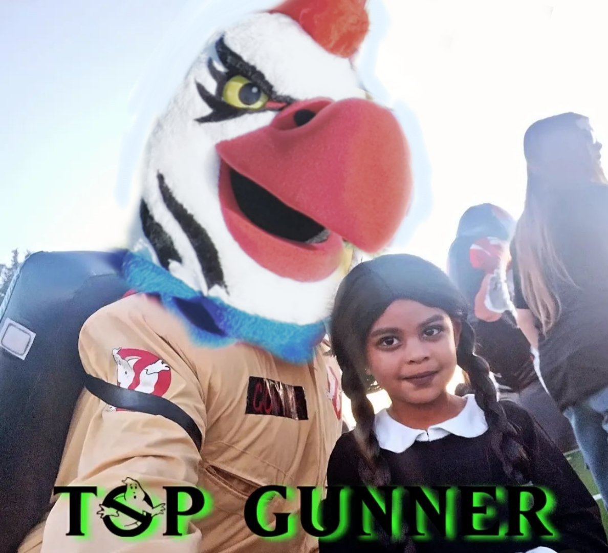 Top Gunner tweet media