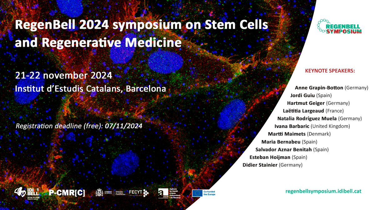 IDIBELL (@idibell_cat) on Twitter photo Are you interested in #StemCells and #RegenerativeMedicine? Come to the RegenBell 2024 Symposium🧬🧫 where more than 10 international and national speakers will share their knowledge.
⌛️Registration deadline 7/11
📆21 & 22 November
📍<a href="/iec/">IEC</a>, BCN
🔗+info regenbellsymposium.idibell.cat/registration/ Are you interested in #StemCells and #RegenerativeMedicine? Come to the RegenBell 2024 Symposium🧬🧫 where more than 10 international and national speakers will share their knowledge.
⌛️Registration deadline 7/11
📆21 & 22 November
📍<a href="/iec/">IEC</a>, BCN
🔗+info regenbellsymposium.idibell.cat/registration/