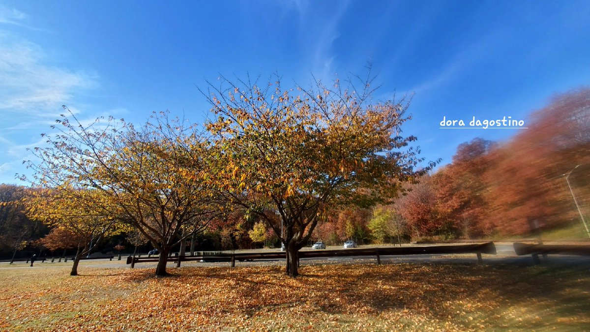 ArtistDora's tweet image. #vss365

#Ardor's
desolate
walk among
fallen, verdant,
green leaves;
watching
rain,
sunlight,
hasten
their death;
love a 
recipe for pain,
until Spring's thaw,
when #Ardor's
flames are
fanned anew.
