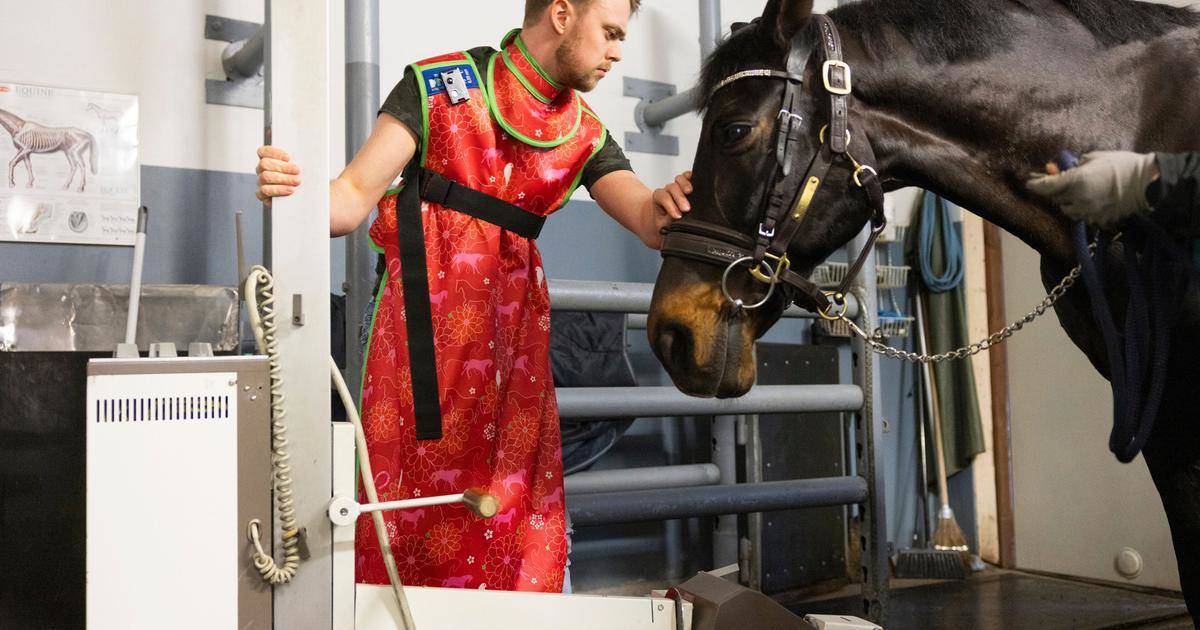 Keskilaakso's tweet photo. Kouvolalainen eläinlääkäri Veikko Kotiranta, 28, ennustaa raviurheilulle rankempia aikoja – ”Nostan hattua heille, jotka tekevät tätä ammatikseen” https://t.co/NBjdPFMLep https://t.co/EF1EfIsrGN