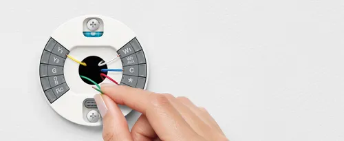 Rob Williams tweet media