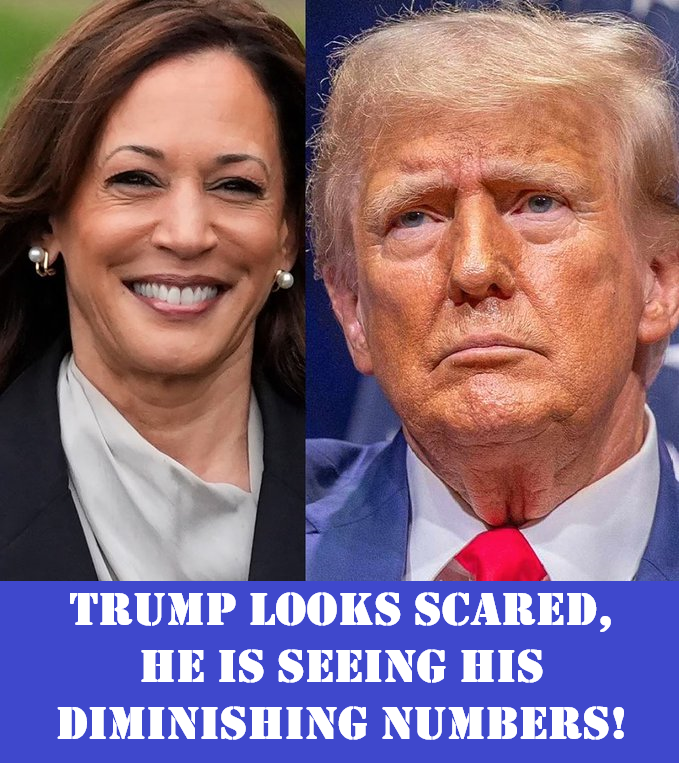 PwrChip's tweet image. TRUMP SURROGATE DOUBLES DOWN ON PUERTO RICO SMEARS - 10.30.24 | Countdow... youtu.be/6b3HQAY9o_I?si…

#IAmPoliticsGirl #KeithOlbermann
#RepAOC #HouseDemWomen #digby56 
#nicolesandler #RepRaskin #Reptedlieu #RepKatiePorter #RepSwalwell #IlhanMN #RepJeffries #RepSherrill #RepDMP