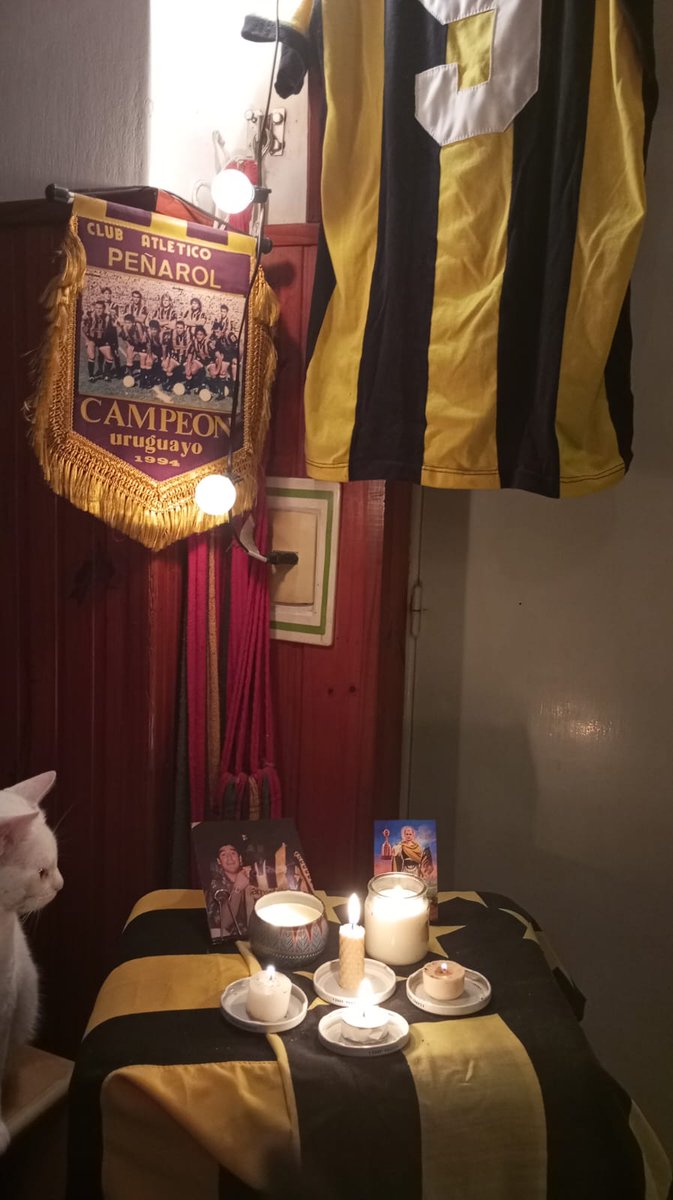 ElUltimoCurcc's tweet image. Esperando el milagro!