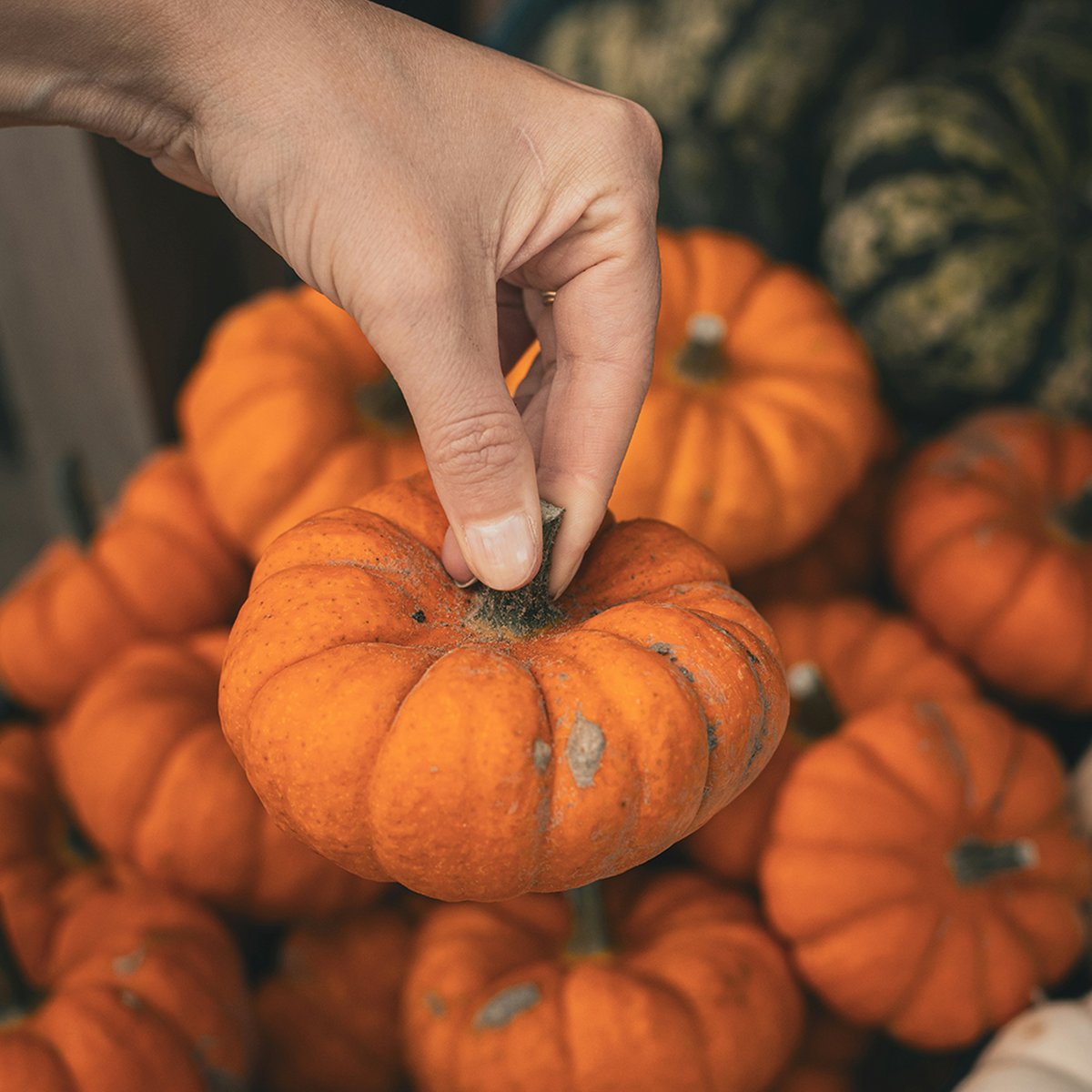 POV: Dit is dé kleur van de herfst