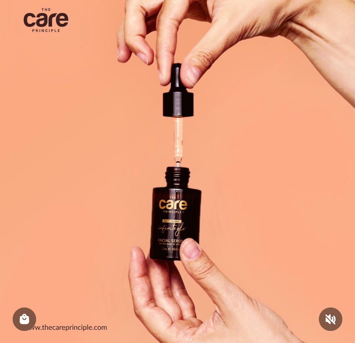 Dina Pugliese-Mirkovich tweet media