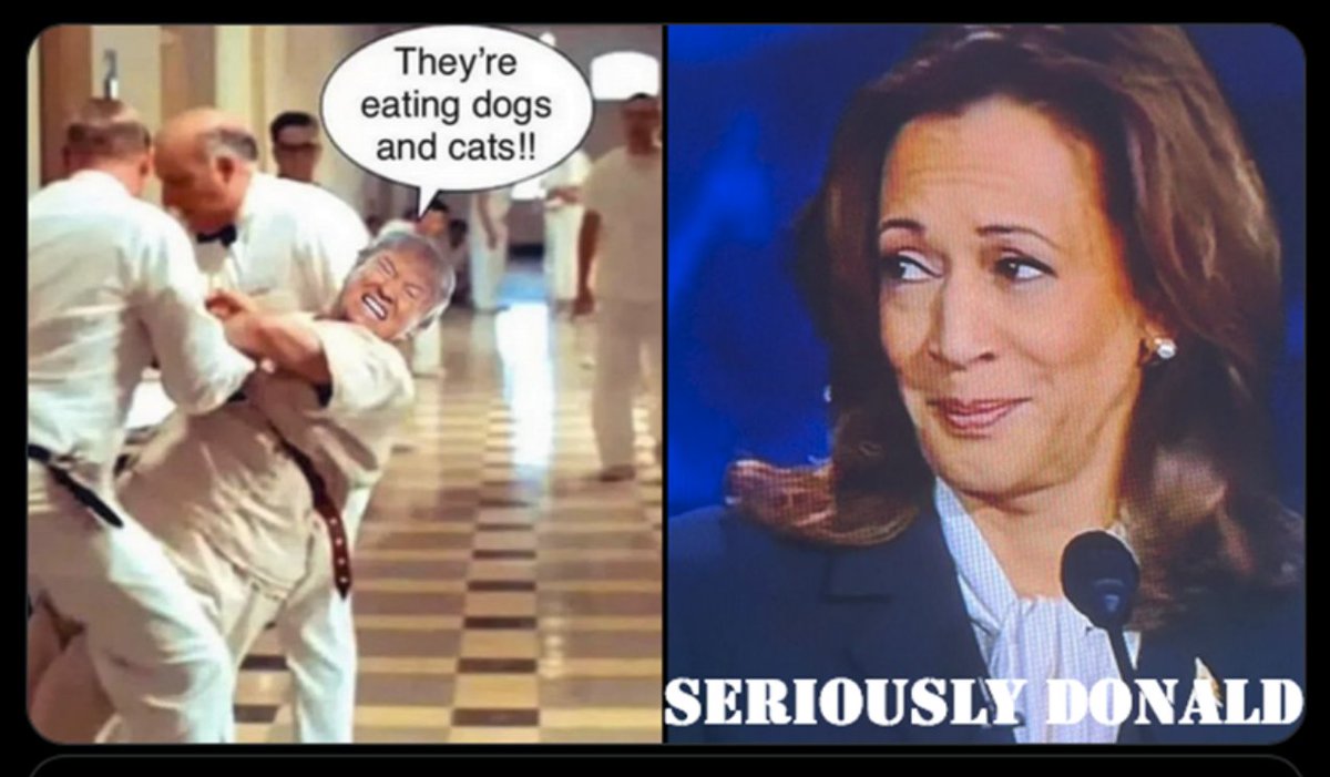 PwrChip's tweet image. TRUMP SURROGATE DOUBLES DOWN ON PUERTO RICO SMEARS - 10.30.24 | Countdow... youtu.be/6b3HQAY9o_I?si…

Mike Johnson promises ‘massive CONCEPTS’ of healthcare changes if Trump wins theguardian.com/us-news/2024/o…

#IAmPoliticsGirl #KeithOlbermann
#RepAOC #HouseDemWomen #digby56